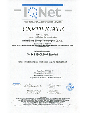 Realmus Certificate